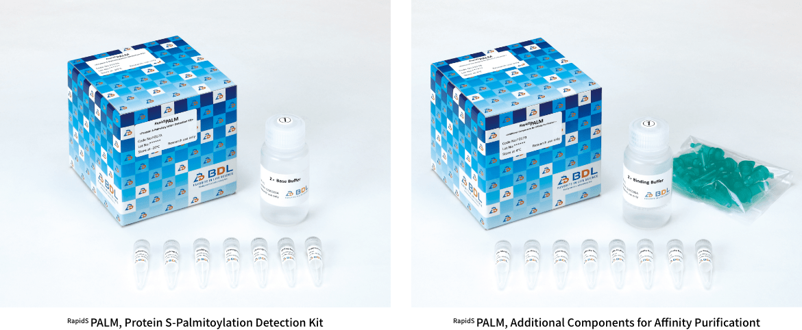 RapidSPALM kit appearance